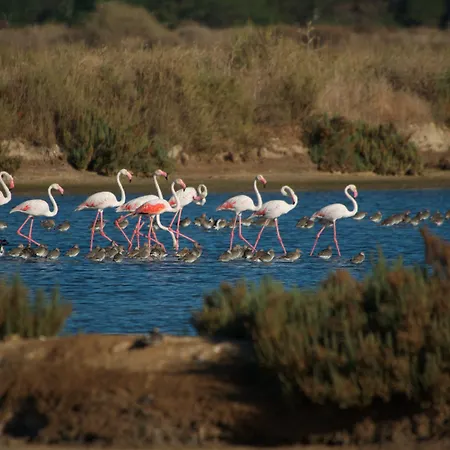 Ria Park Garden אלמנסיל